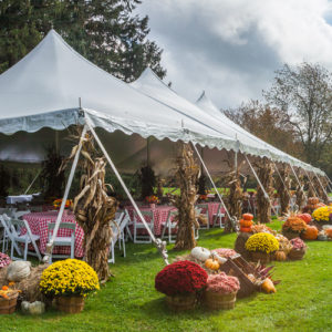 Tents