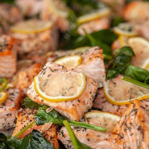 Salmon